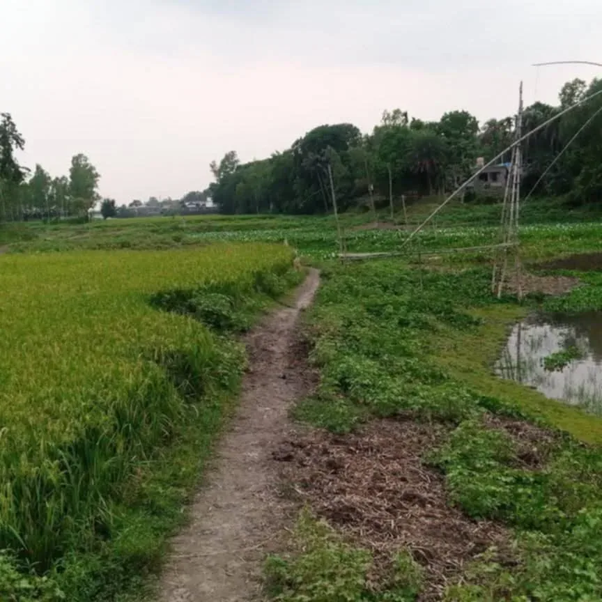 ৩৮ বছরেও নির্মাণ হয়নি সেতু, দুর্ভোগে ৮ গ্রামের ২০ হাজার মানুষ