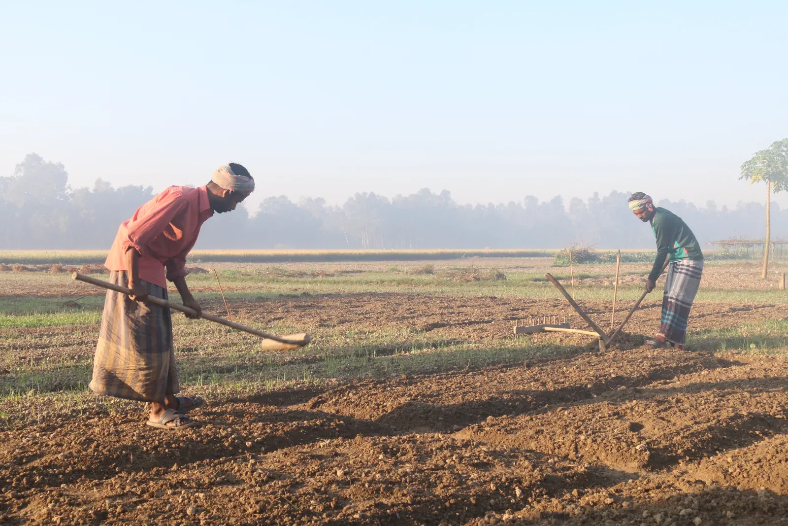খাদ্যের গল্প শুরু হয় মাটি থেকে