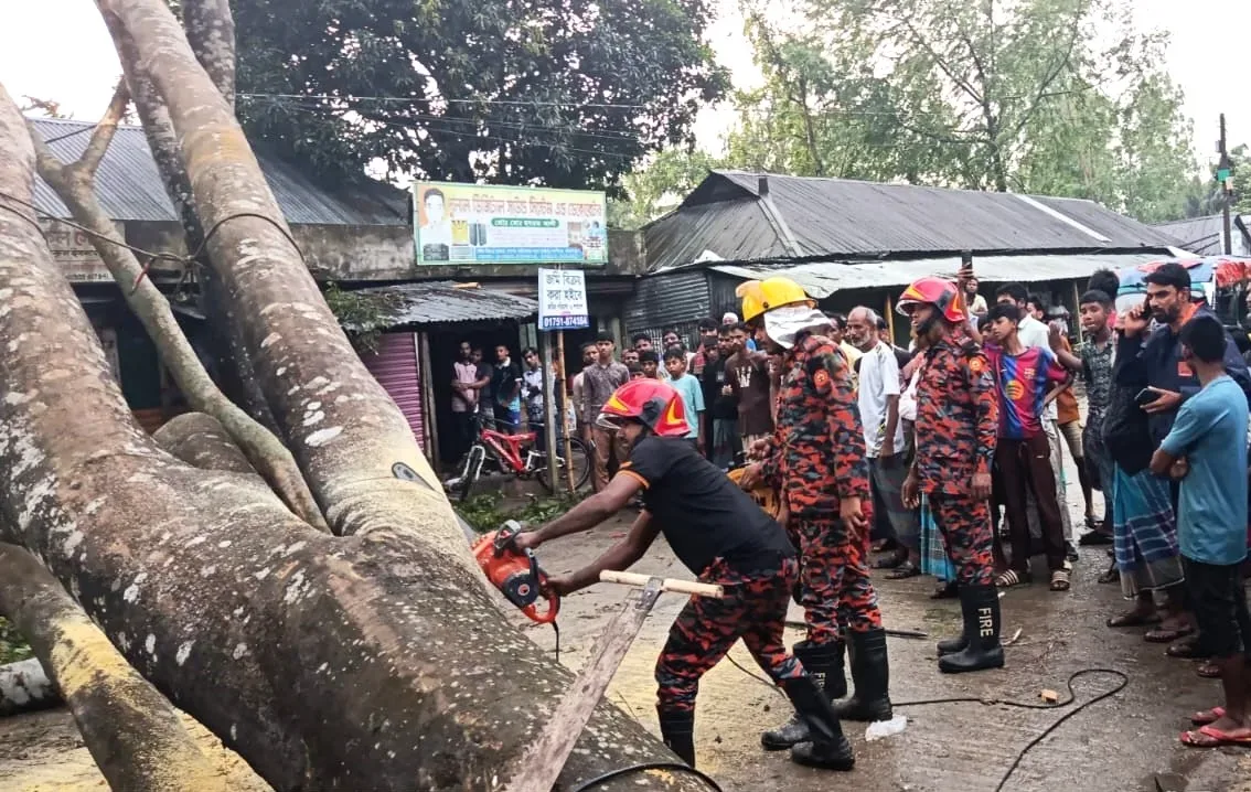 বকশীগঞ্জ ফায়ার সার্ভিসের টিম সড়ক থেকে গাছ অপসারণের কাজ করছে