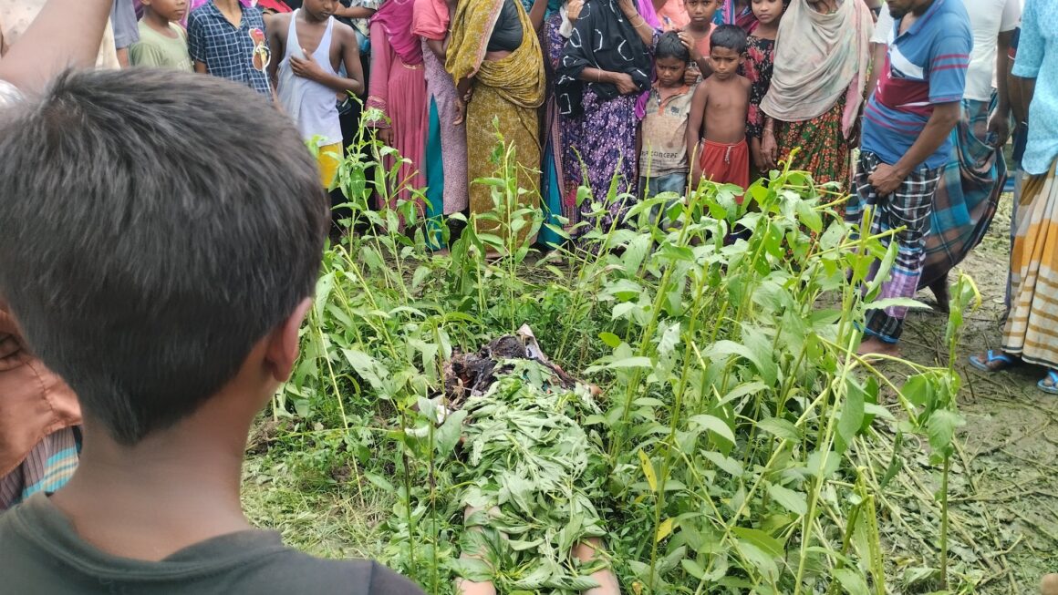 বকশীগঞ্জে পাটক্ষেত থেকে অজ্ঞাত নারীর লাশ উদ্ধার