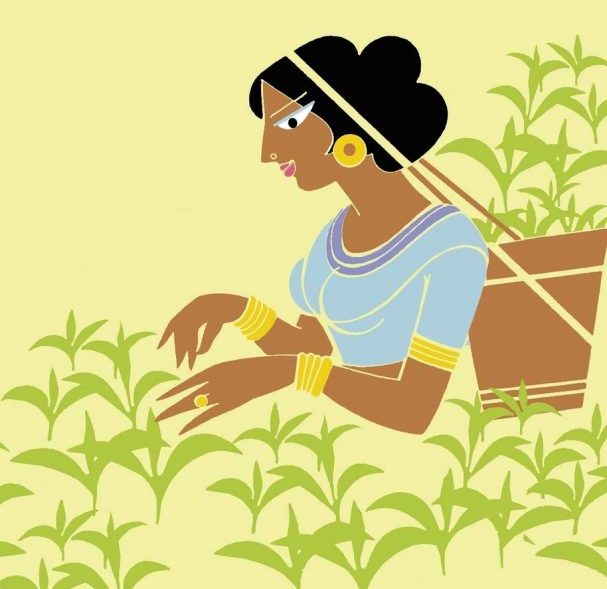 ছায়া ঢাকা প্রাঙ্গণে নতুন ভোর: চা শ্রমিকের মেয়ে ইতির ঢাবি জয়
