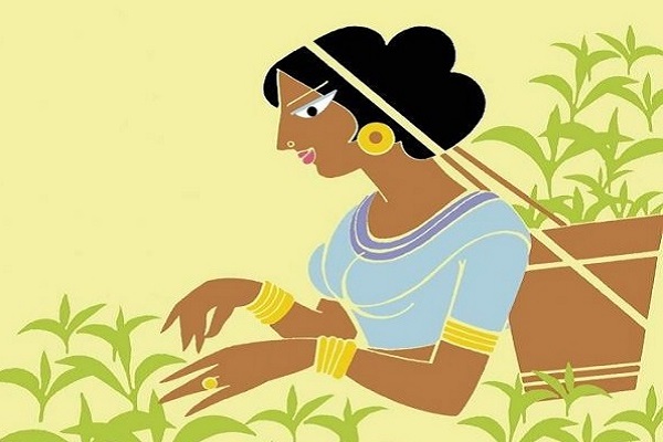 ছায়া ঢাকা প্রাঙ্গণে নতুন ভোর: চা শ্রমিকের মেয়ে ইতির ঢাবি জয়