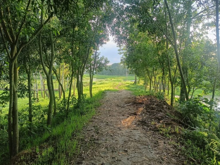 মাদারগঞ্জে ৩৭ বছর ধরে সেতুবিহীন খাল